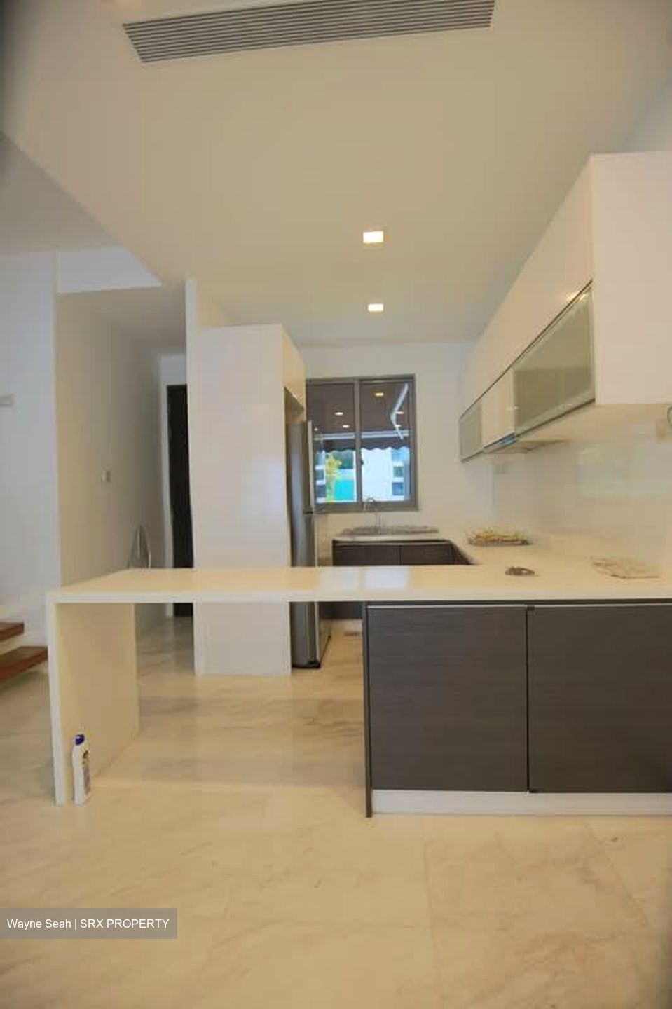 Radiance @ Bukit Timah (D21), Terrace #546993761